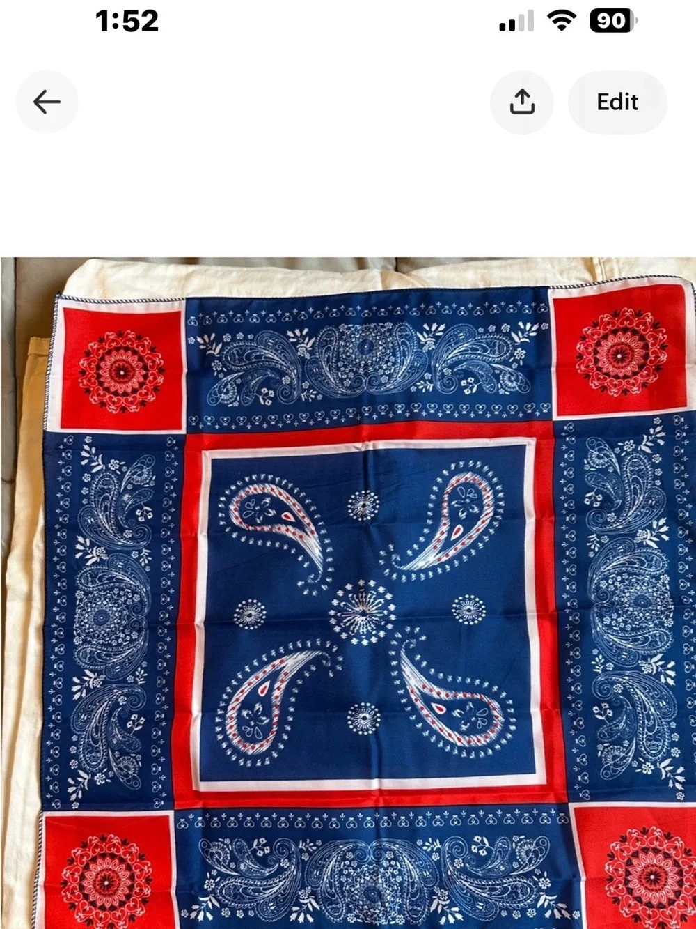 Unbranded Red & Blue Patriotic Party Fan and Bandana Set